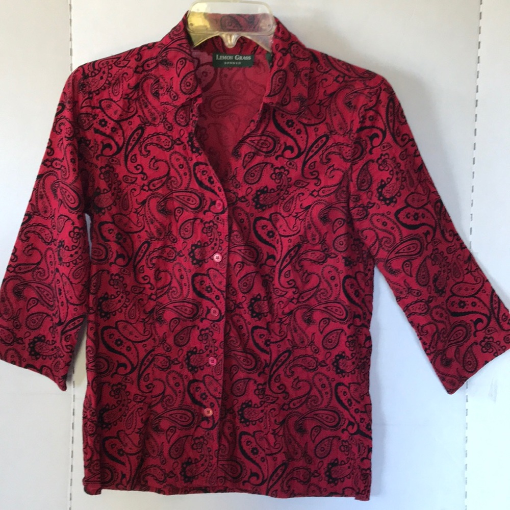 Women’s Small Lemon Grass Red Paisley Top